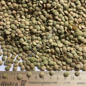 Чечевица красная, зелёная, зерноотход, мучка