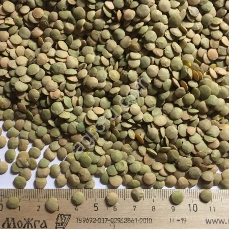 Чечевица красная, зелёная, зерноотход, мучка