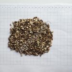 Корень одуванчика