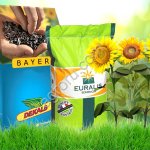 ЕС БЕСАНА Семена гибрида подсолнечника BAYER (Байер)/Евралис