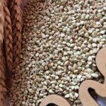 Зеленая гречка