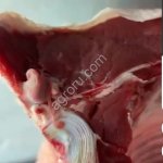 Говядина Мясо Быка