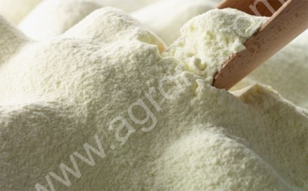 Сухое молоко СОМ, СЦМ