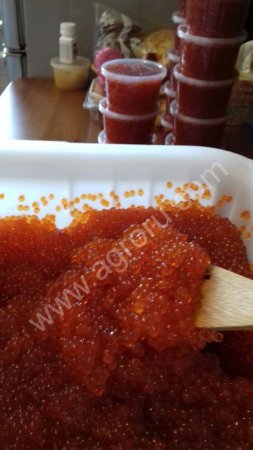 Икра красная лососевая