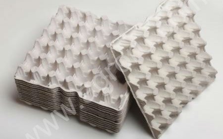 Бугорчатая прокладка для яиц