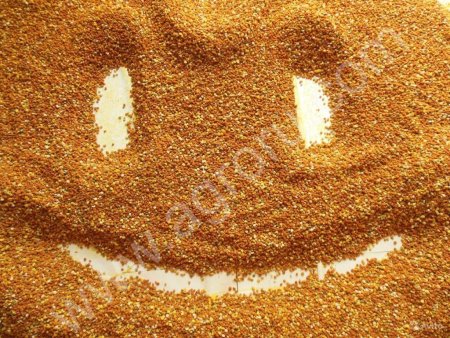 Цветочная пыльца (обножка) со своей пасеки 2015 г