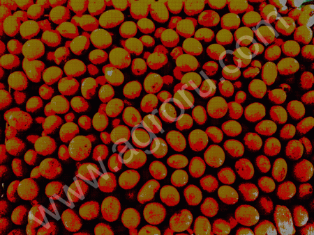 Соя пищевая, калиброванная оптом и врозницу