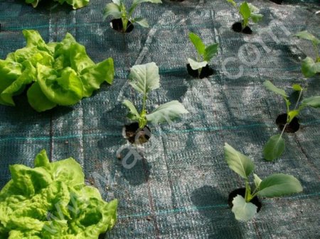 Пленка полиэтиленовая, сетка для затенения, тенты, полога, геосинтетики.