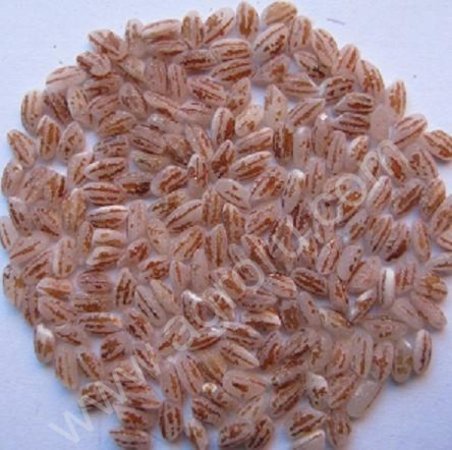 Рис слабошлифованный красный (тип Девзира)