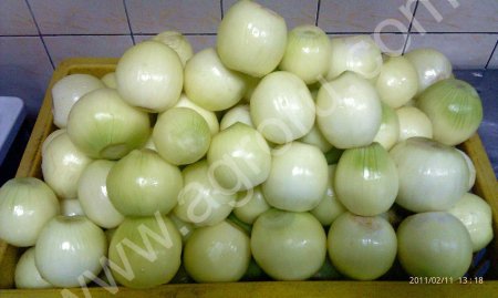 Лук репка очищенный