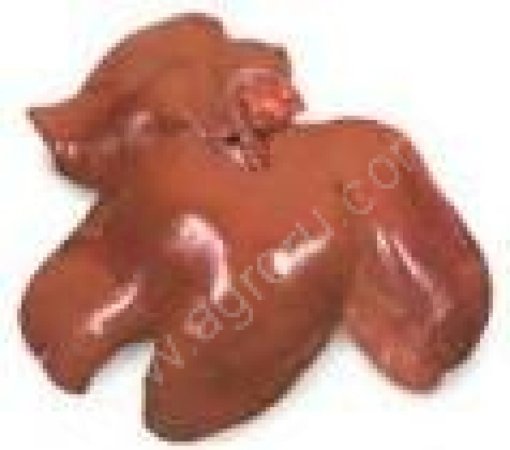 Печень свиная