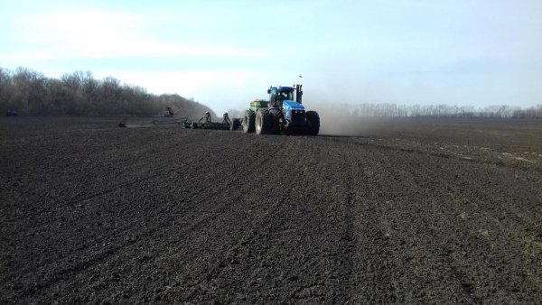 Краткий обзор рынка зерновых