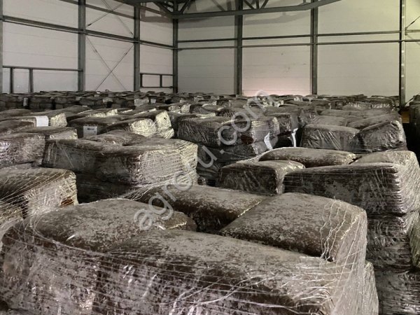 Компост для выращивания шампиньонов 3тяя фаза