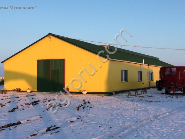 Строительство семейных животноводческих ферм.