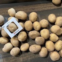 Картофель