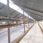 Линейный молокопровод