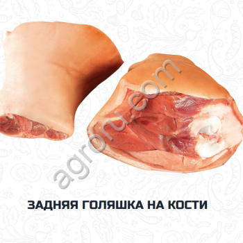 Рулька свиная оптом (задняя)
