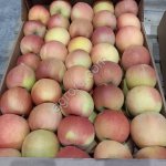 Яблоки Фуджи