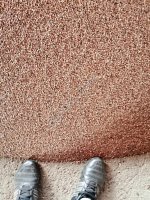 Семена чечевицы красной