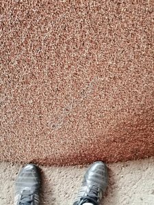 Семена чечевицы красной