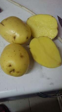 Овощи на переработку