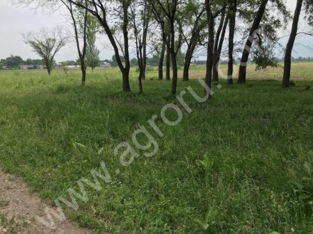 Земельный участок 86 га