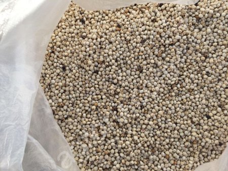 сорго белое