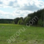 60 Га для разведения рыбы