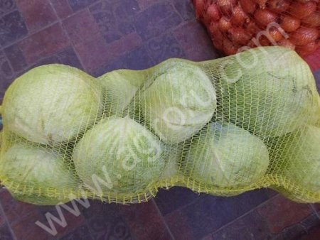 Капуста белокочанная