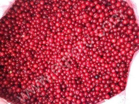 Брусника свежемороженая