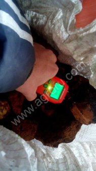 гриб чага сушеный