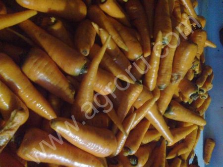 Овощемоечная машина МПУ-5