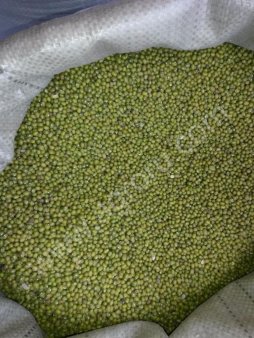 Вигна Маш Green Moong