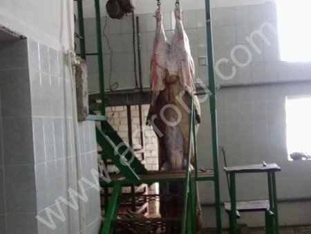 говядина ГОСТ