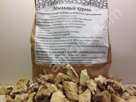 Мыльный корень