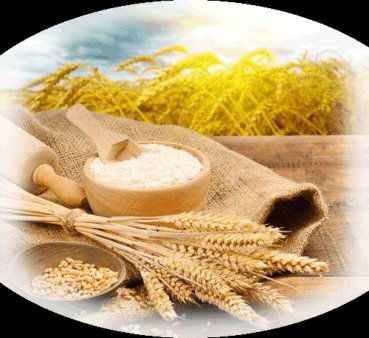 Мука В/С и 1 СОРТ