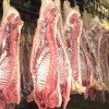 Мясо-свинина в полутушах 2 и 3 категории оптом  ГОСТ Р 53221-2008