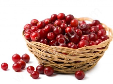 Клюква свежая