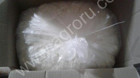 Творог оптом