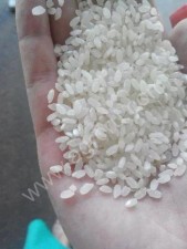 Рис круглозерный 1 сорт оптом от производителя