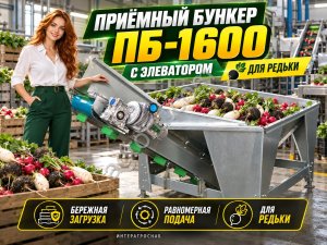 Приёмный бункер ПБ-1600 с элеватором для редьки