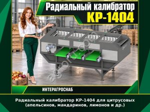 Радиальный калибратор КР-1404 для цитрусовых (апельсинов, мандаринов, лимонов и др.)
