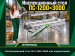 Инспекционный стол ПС-1200×3000 для корнеплодов