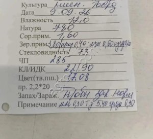Пшеница твердая