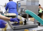 Орехи в мёде оптом: грецкий, кешью, миндаль, кедровый, ассорти