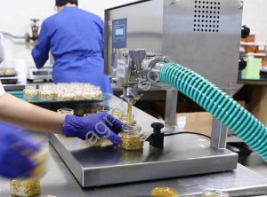 Орехи в мёде оптом: грецкий, кешью, миндаль, кедровый, ассорти