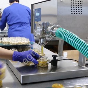 Орехи в мёде оптом: грецкий, кешью, миндаль, кедровый, ассорти