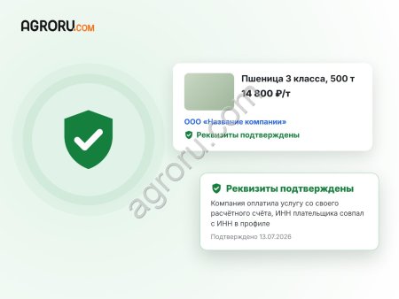Проверили поставщика по ИНН, а предоплата пропала? Как отличить настоящую компанию от мошенника