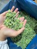 Фасоль замороженная