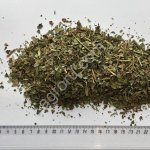 Земляники листья 4-7 мм